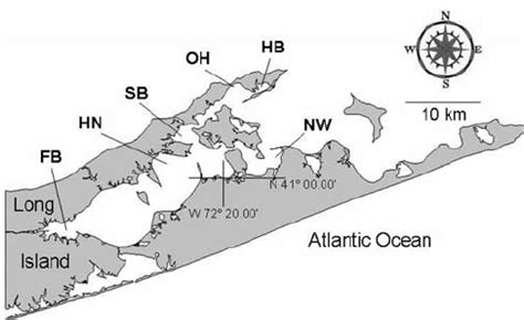 Map of the Peconic Bay system in eastern Long Island, New York, showing... | Download Scientific ...