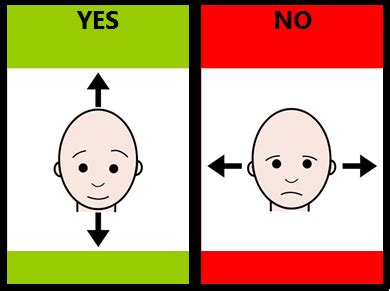 Teaching Learners with Multiple Special Needs: The Yes/No Series - Part Four