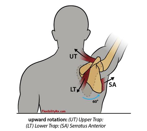 What the Heck is a YTA? - Outlier CrossFit Gym