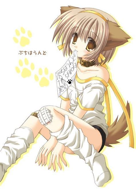 neko - Neko Anime Characters Photo (6931966) - Fanpop