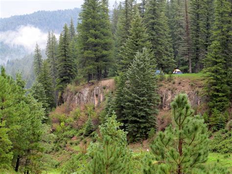 Tent camping near Bluff Springs. Cloudcroft, New Mexico. Lincoln National Forest, Sacramento ...