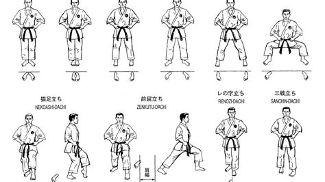 Basic Karate Stances - Karate Choices