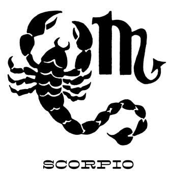 Scorpio Animal Signs and Symbolism in the Zodiac | LoveToKnow