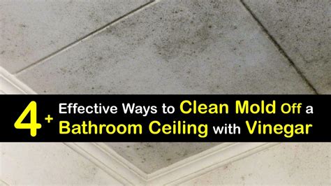 Bathroom Ceiling Cleaning - Getting Mold Off Ceilings with Vinegar