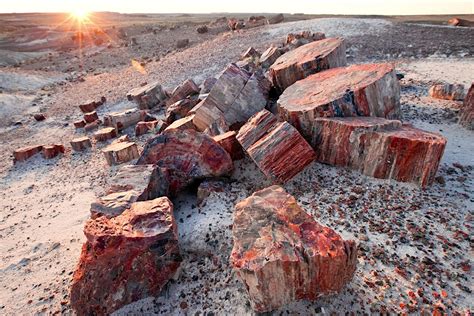 Petrified Forest National Park travel | Arizona, The USA, North America ...