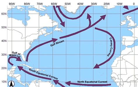 Canary Current: transports cool northern water equator ward; it merges ...