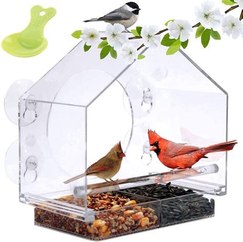 8 Best Window Bird Feeders | Family Handyman