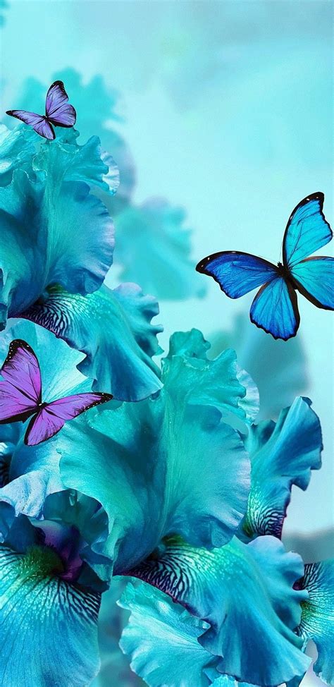 1366x768px, 720P free download | Teal Orchids, bonito, blue, butterflies, butterfly, floral ...