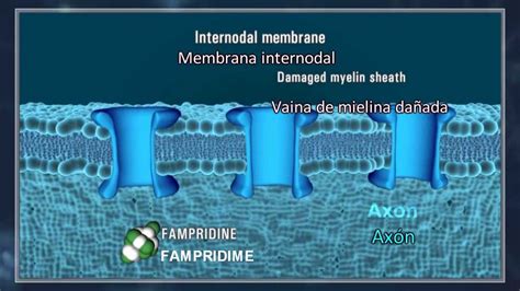 Ampyra Fampyra Fampridine Primedicin - Medicamentos Importados - YouTube