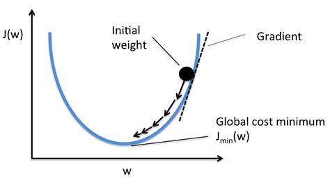 What are gradient descent and stochastic gradient descent?