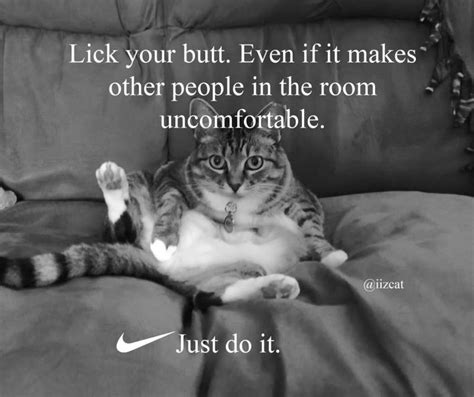 5 Nike Just Do It cat memes to make your day