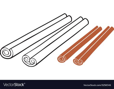 Cinnamon sticks Royalty Free Vector Image - VectorStock