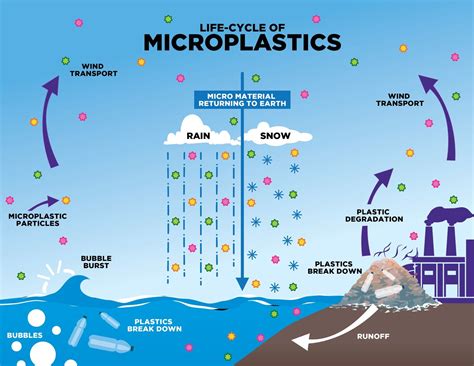 Life-Cycle of Microplastics: Degradation and Fragmentation