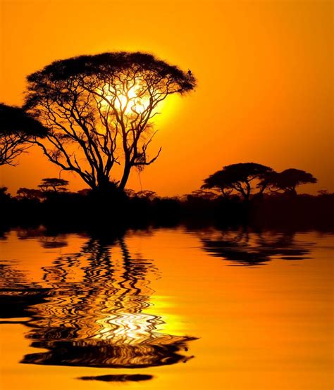 African Sunset With Reflection, Kenya #photography Amazing Sunsets, Beautiful Sunset, Beautiful ...