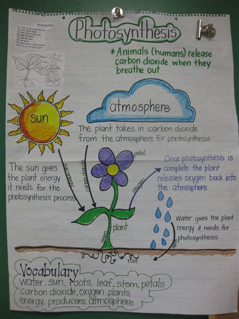 Science anchor charts, Biology lessons, Elementary science