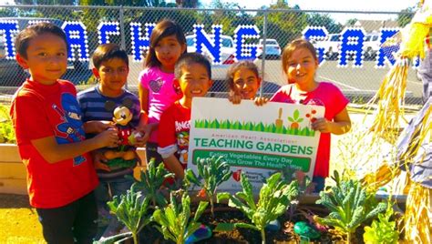 Students Harvest First Crop from Walt Disney Elementary School Teaching ...