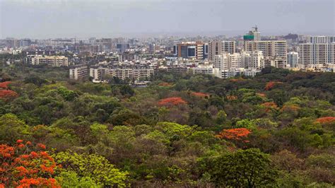 Mumbai's Aarey Declared a Forest; Metro Car Shed Project to be ...