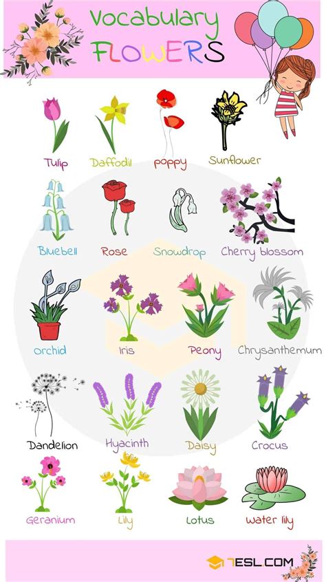 0shares Learn Plant and Flower Vocabulary in English through Pictures ...