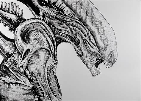 Alien Xenomorph — Thomas Hay