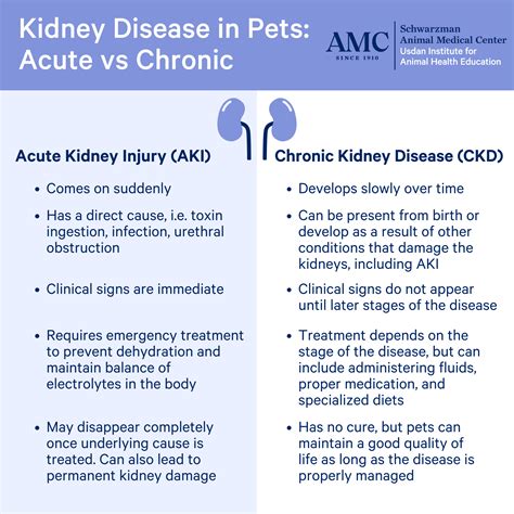 Chronic Kidney Disease Medication | edu.svet.gob.gt