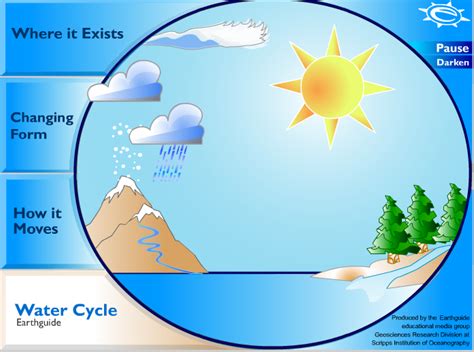The Water Cycle | Content Area Literacy