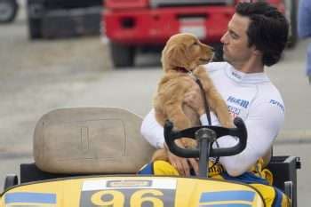 What Drove Milo Ventimiglia To 'Racing In The Rain'? - Hollywood Outbreak