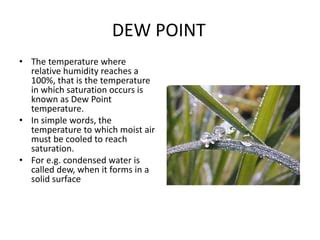 DEW POINT | PPT