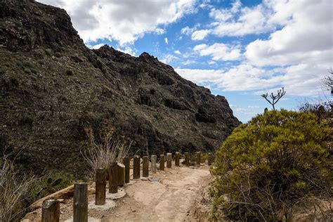 Barranco del Infierno (Tenerife) 2024 • Everything you should know - Go Tenerife