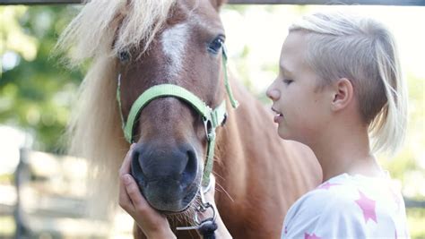 girl kissing pony horse love 4k Stock Footage Video (100% Royalty-free) 32019751 | Shutterstock