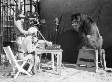 The Silver Screen Affair: The MGM Lion