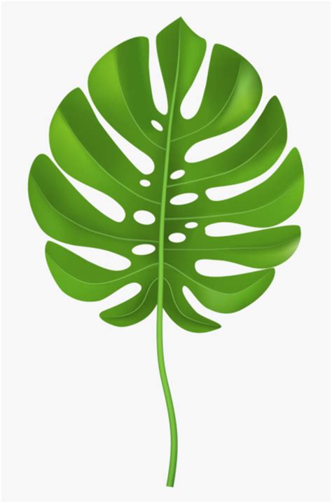 Leaves Clipart Cartoon - Clip Art Jungle Leaves, HD Png Download ...