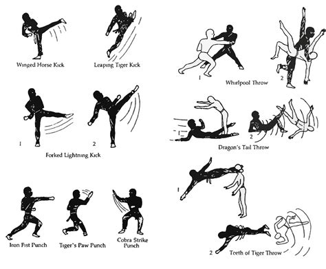 Martial Arts Moves Step By Step - Get More Anythink's