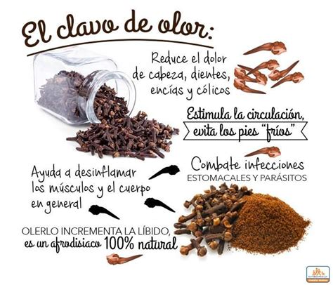 Clavo De Olor Y Sus Propiedades Todos Sus Beneficios Y Usos | My XXX ...