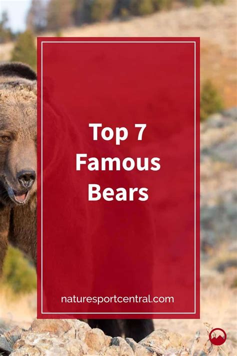 Top 7 Famous Bears