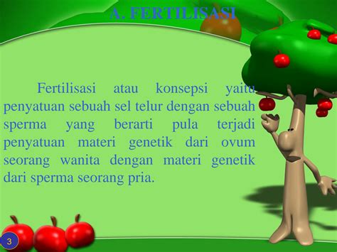 SOLUTION: Proses fertilisasi sampai kelahiran pada manusia - Studypool