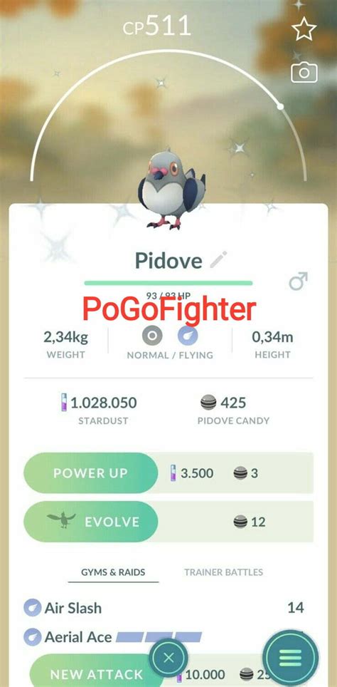 Pokémon GO Shiny Pidove - Mini Account (Read Describe) - PoGoFighter