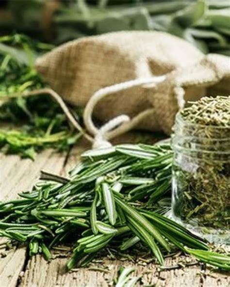 How to Make Candied Rosemary, a Sweet Garden Treat - Delishably - Food and Drink