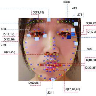 The area of interest for hypomimia. The blue square blocks represent... | Download Scientific ...