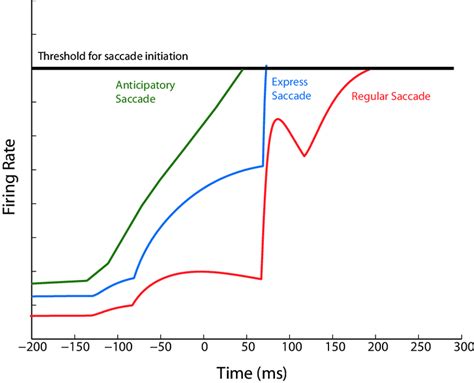 5: Saccade timecourses of the three different types of saccades. The... | Download Scientific ...