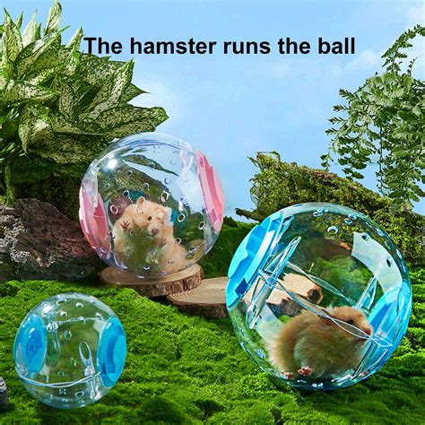 Transparent Hamster Ball Transparent Hamster Running Ball Multi-hole ...