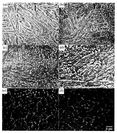 Cementite Microstructure