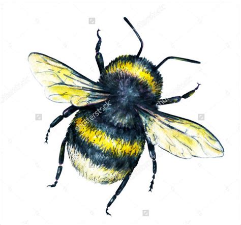 FREE 9+ Bee Drawings in AI | Vector EPS