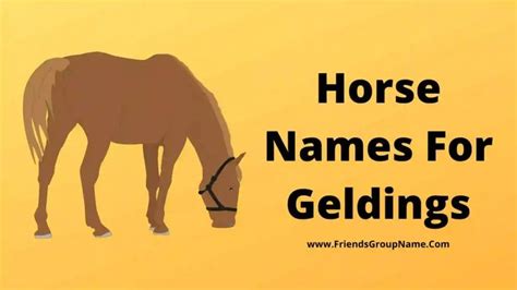 a horse that is eating some grass with the words horses names for geldings