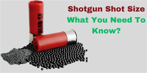 Shotgun Shot Size Chart - Guide To Choose The Right Shot