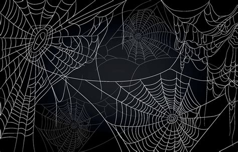 Spider Web Background 3106492 Vector Art at Vecteezy