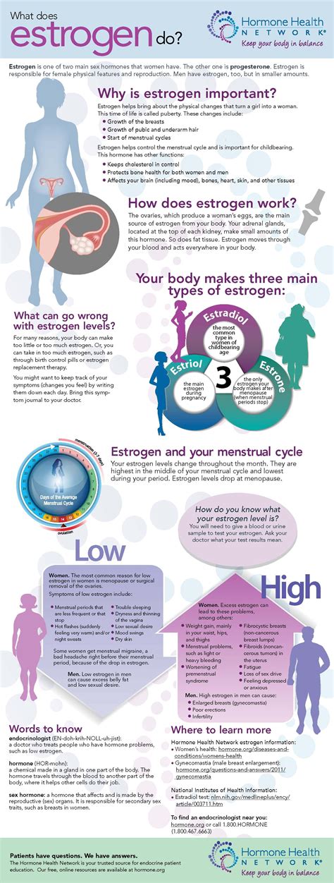 what does estrogen do? Health Facts, Health Info, Health And Nutrition, Health Fitness ...