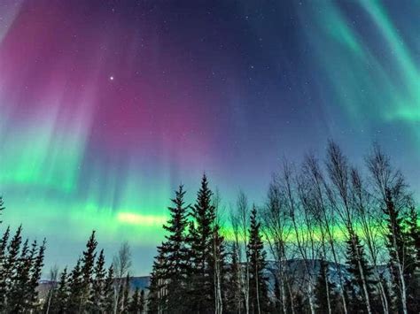 Best Time To See Northern Lights Alaska Cruise | Decoratingspecial.com