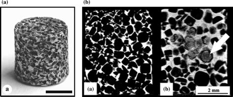 A Micrograph of cylindrical implant of magnesium alloy AZ91D fabricated... | Download Scientific ...