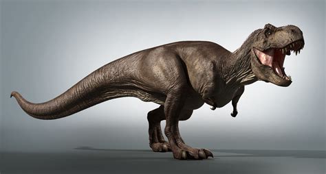 T-rex in Zbrush — Missset