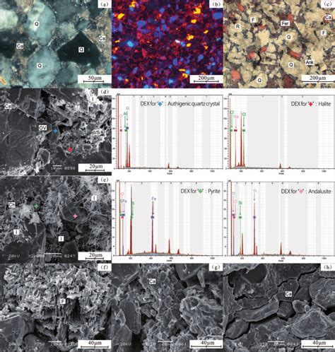 Diagenesis types and characteristics of the mid-lower subsections of ...